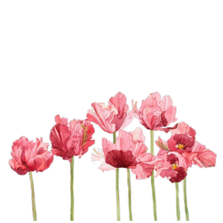 Aesthetic Flowers Transparent PNG