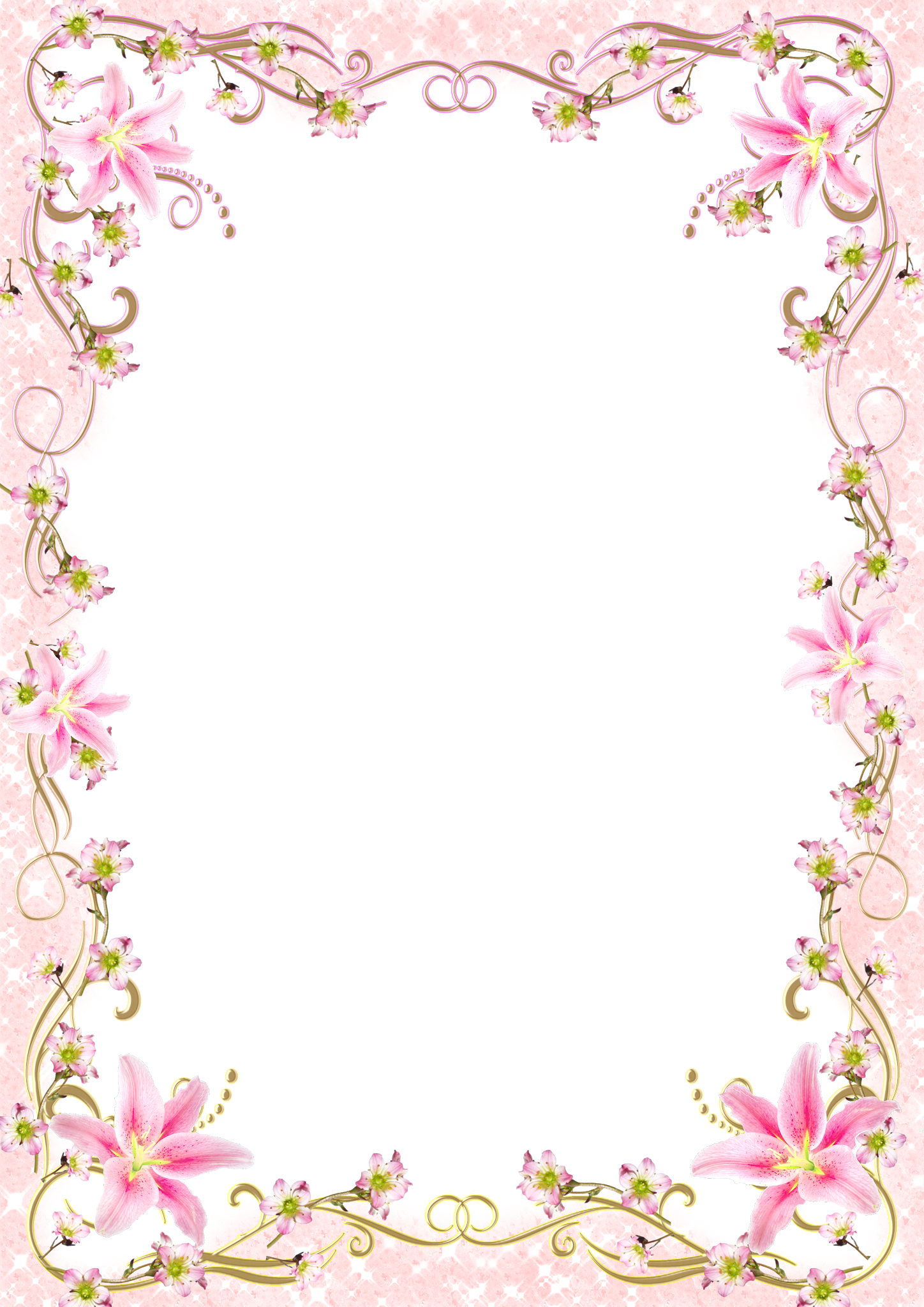 Aesthetic Frame Transparent PNG