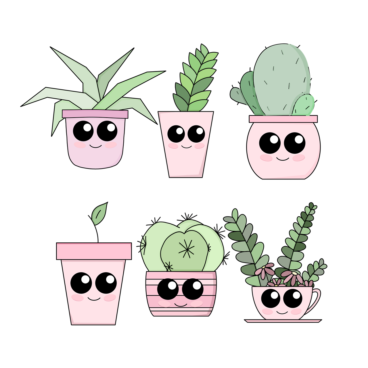 Aesthetic Plant PNG HD Isolated