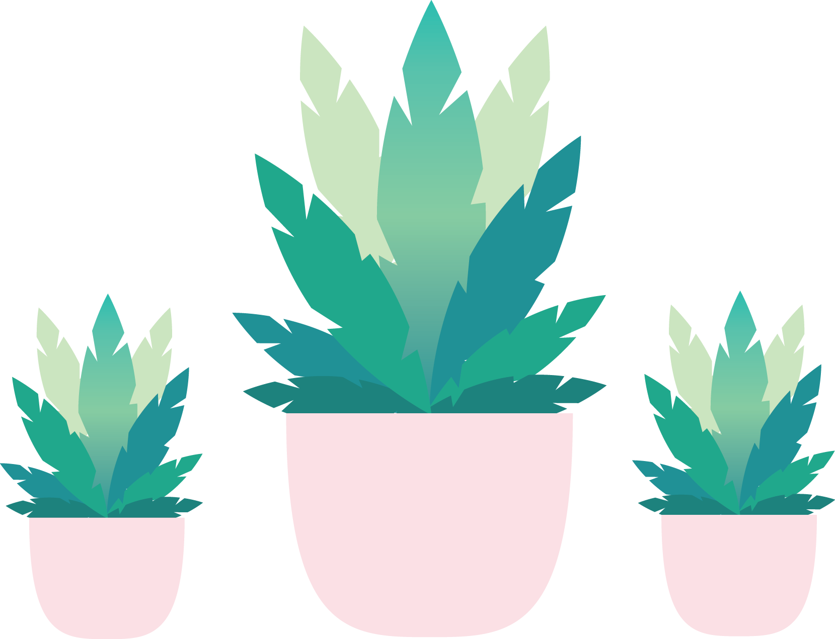 Aesthetic Plant PNG Isolated Image
