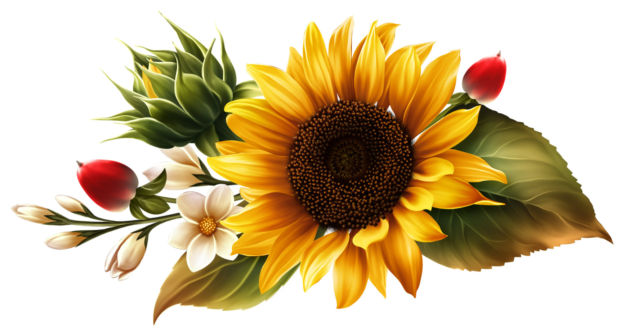 Bunga Matahari Estetika Unduh PNG Image