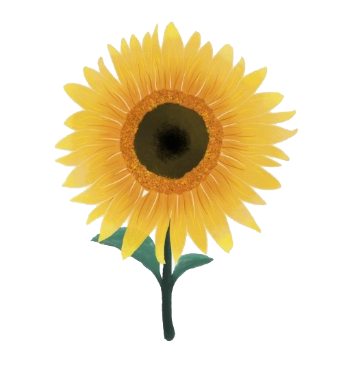 Aesthetic Sunflower PNG Background Image