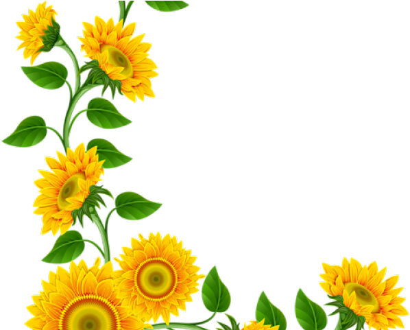 Gambar PNG bunga matahari estetika