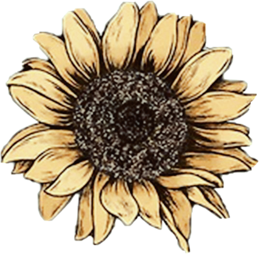 Aesthetic Sunflower Vector PNG File