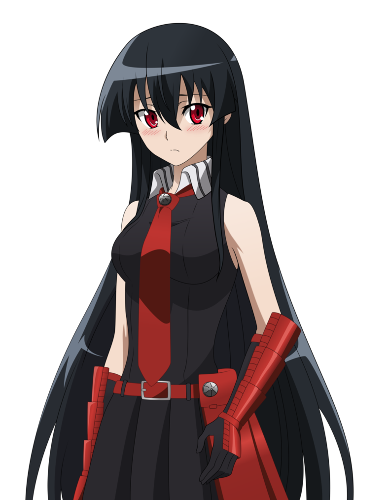 AKAME PNG Picture