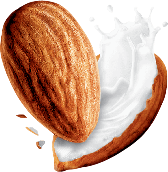 Almond Milk PNG Photo