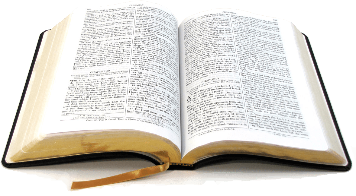 Bibbia libro PNG isolato HD