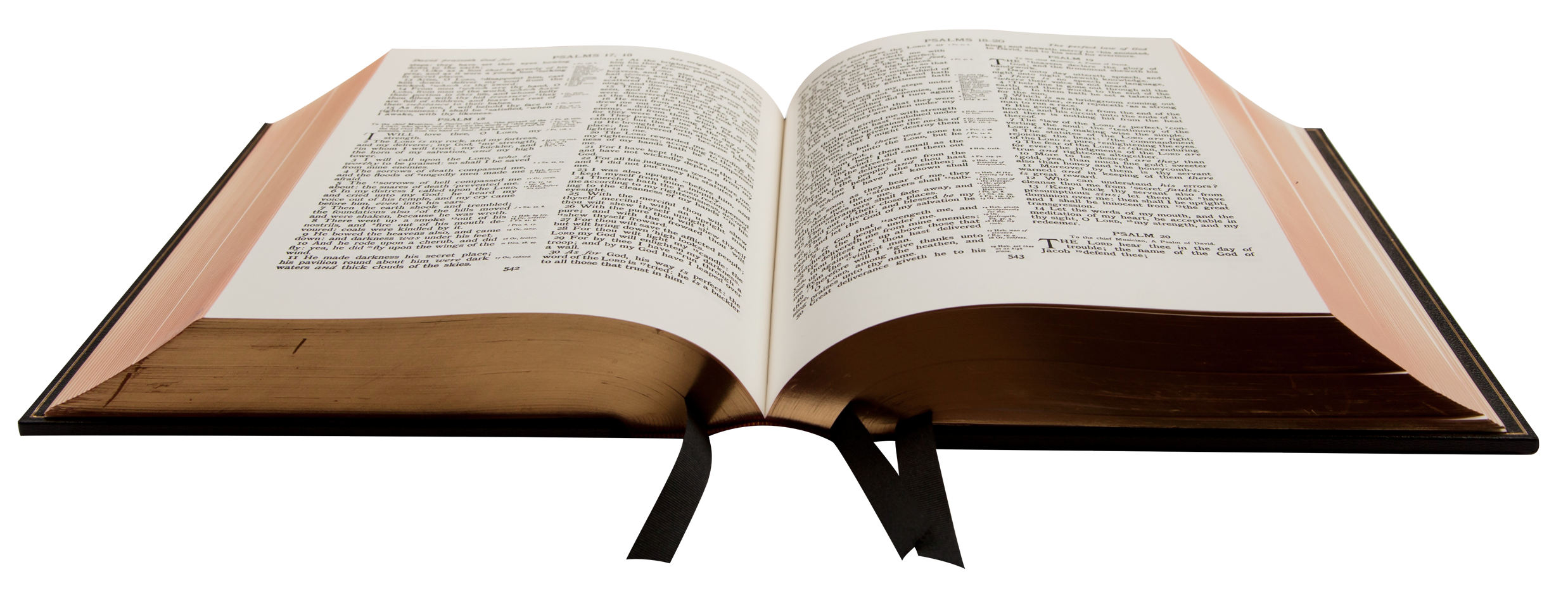 Bíblia livro PNG isolado foto