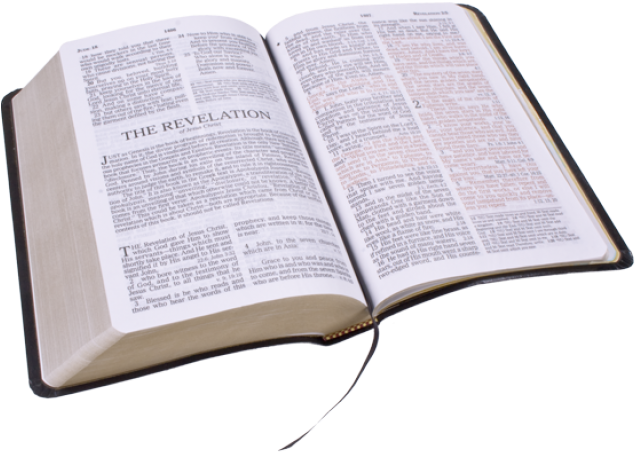Bible PNG Isolated Photo