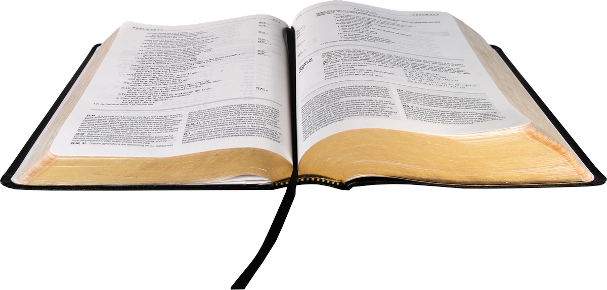 Bible Transparent Isolated Background