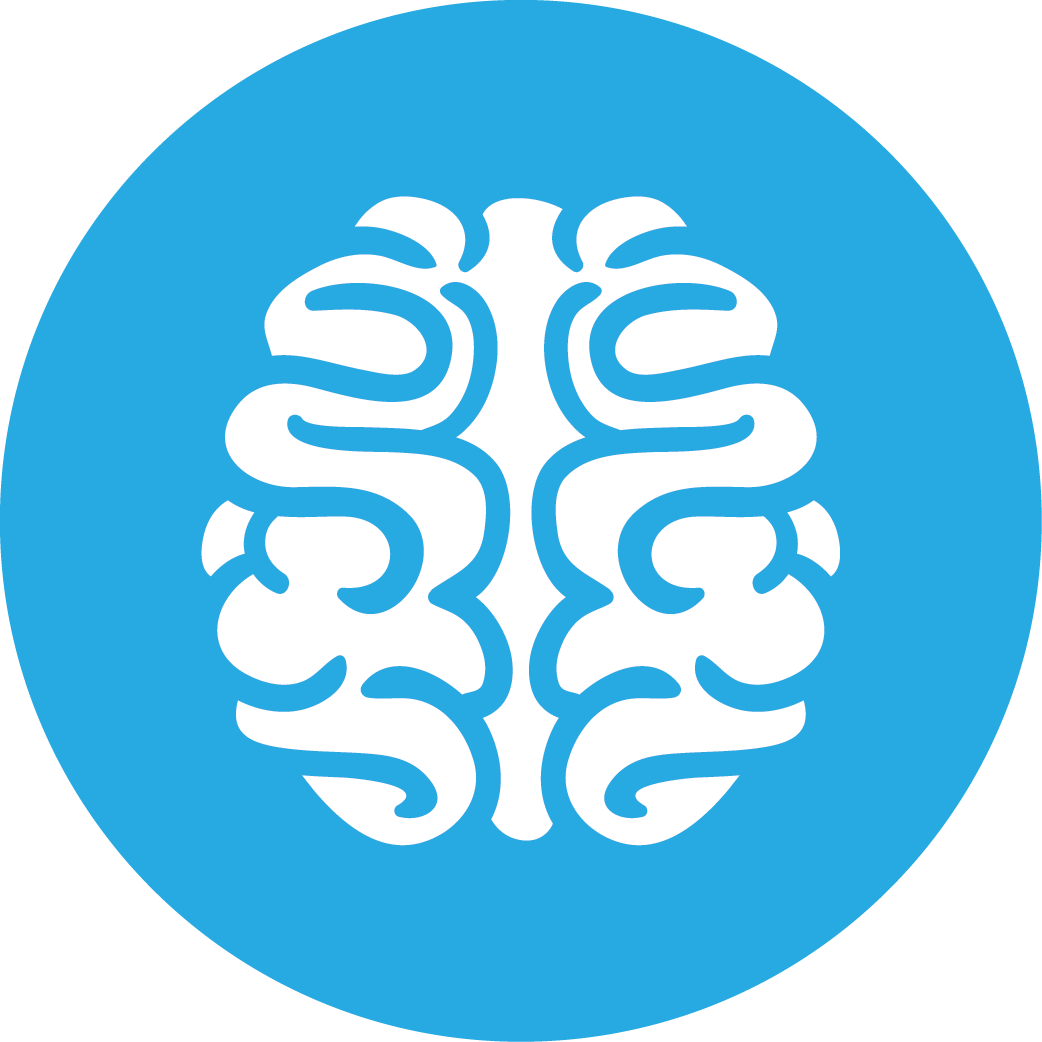 Brain PNG Isolated Free Download