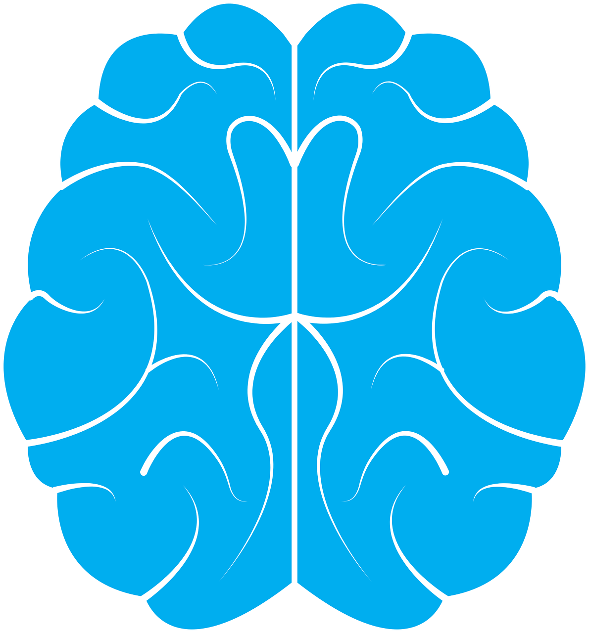 Brain Transparent Isolated PNG