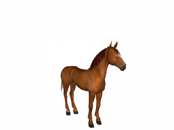 Brown Horse PNG Clipart