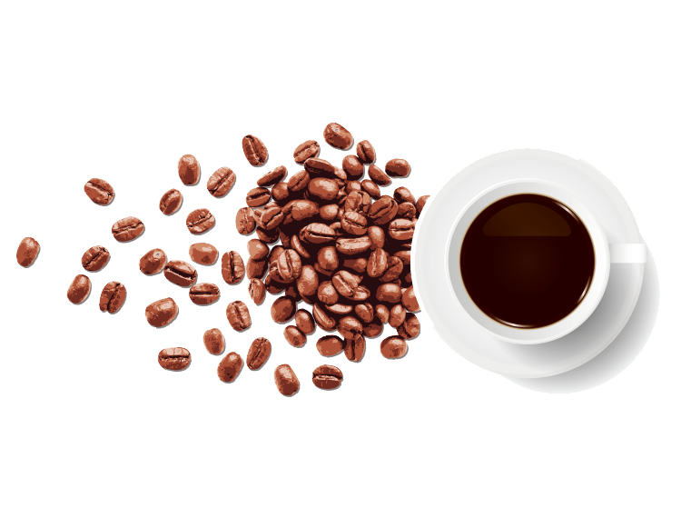 Coffee Beans PNG File | PNG Mart