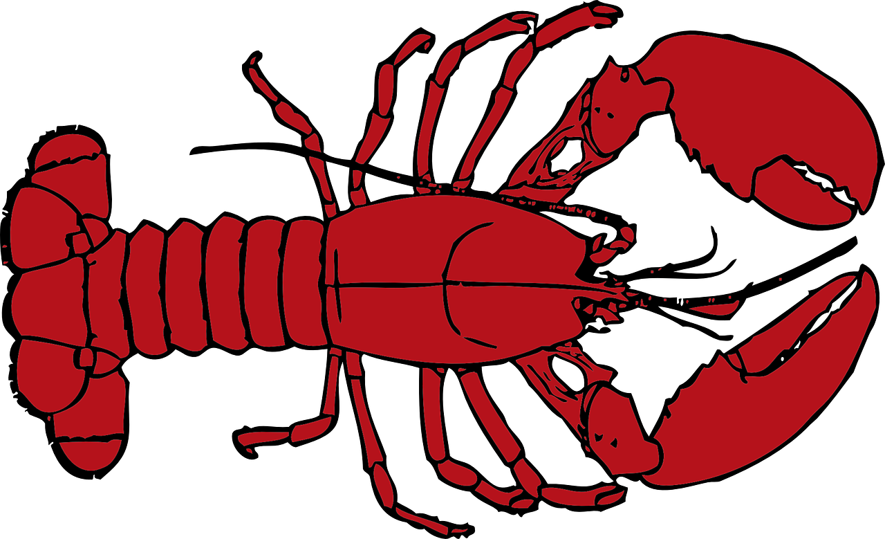 Crawfish Vector PNG Picture
