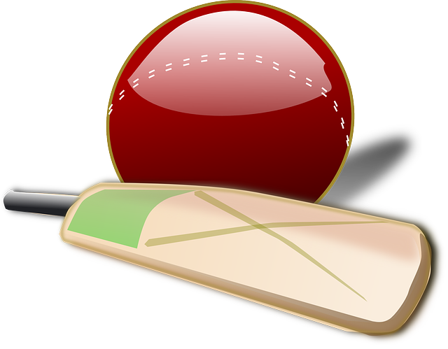 Immagine del PNG del pipistrello di cricket