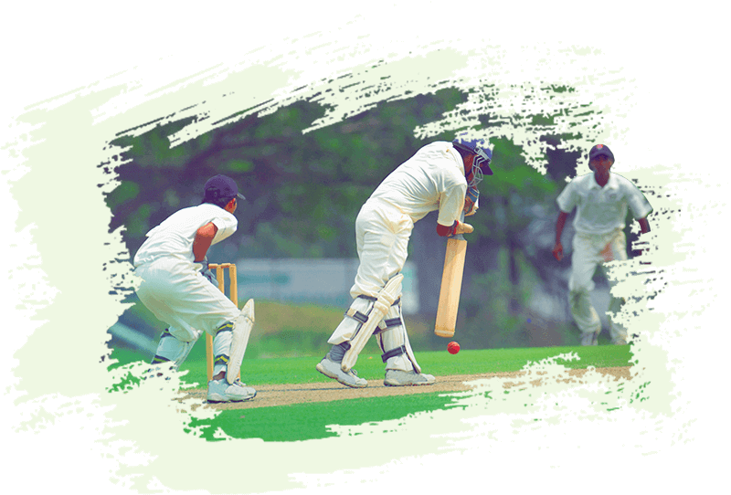 Cricket Download PNG Image