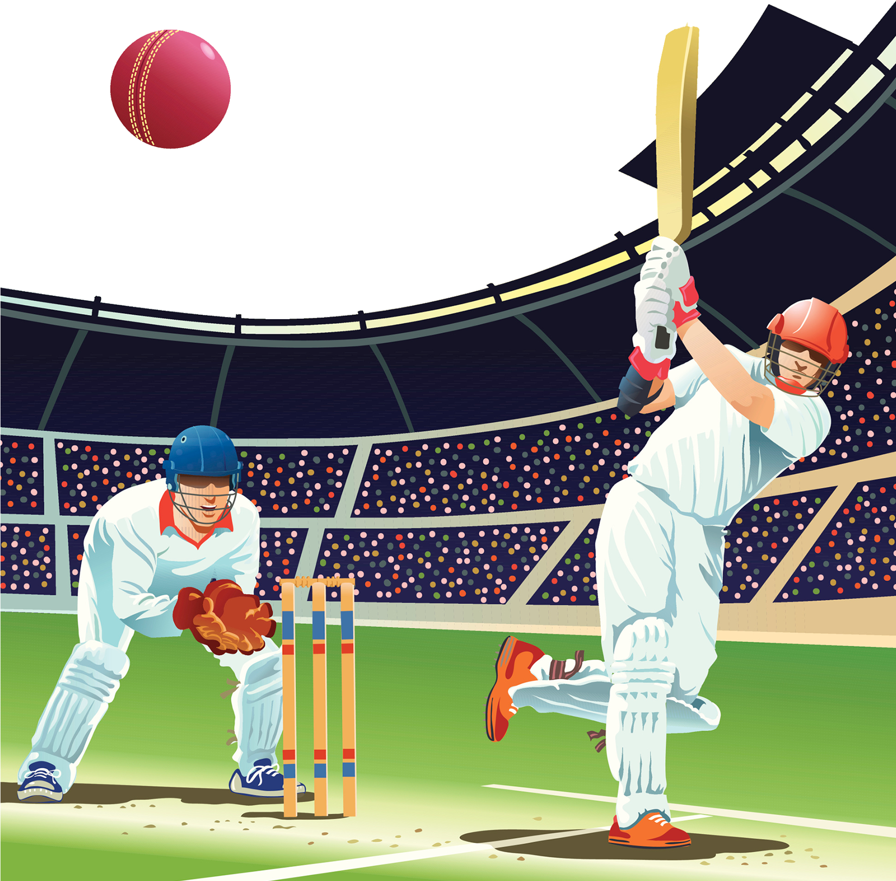 Cricket PNG Image