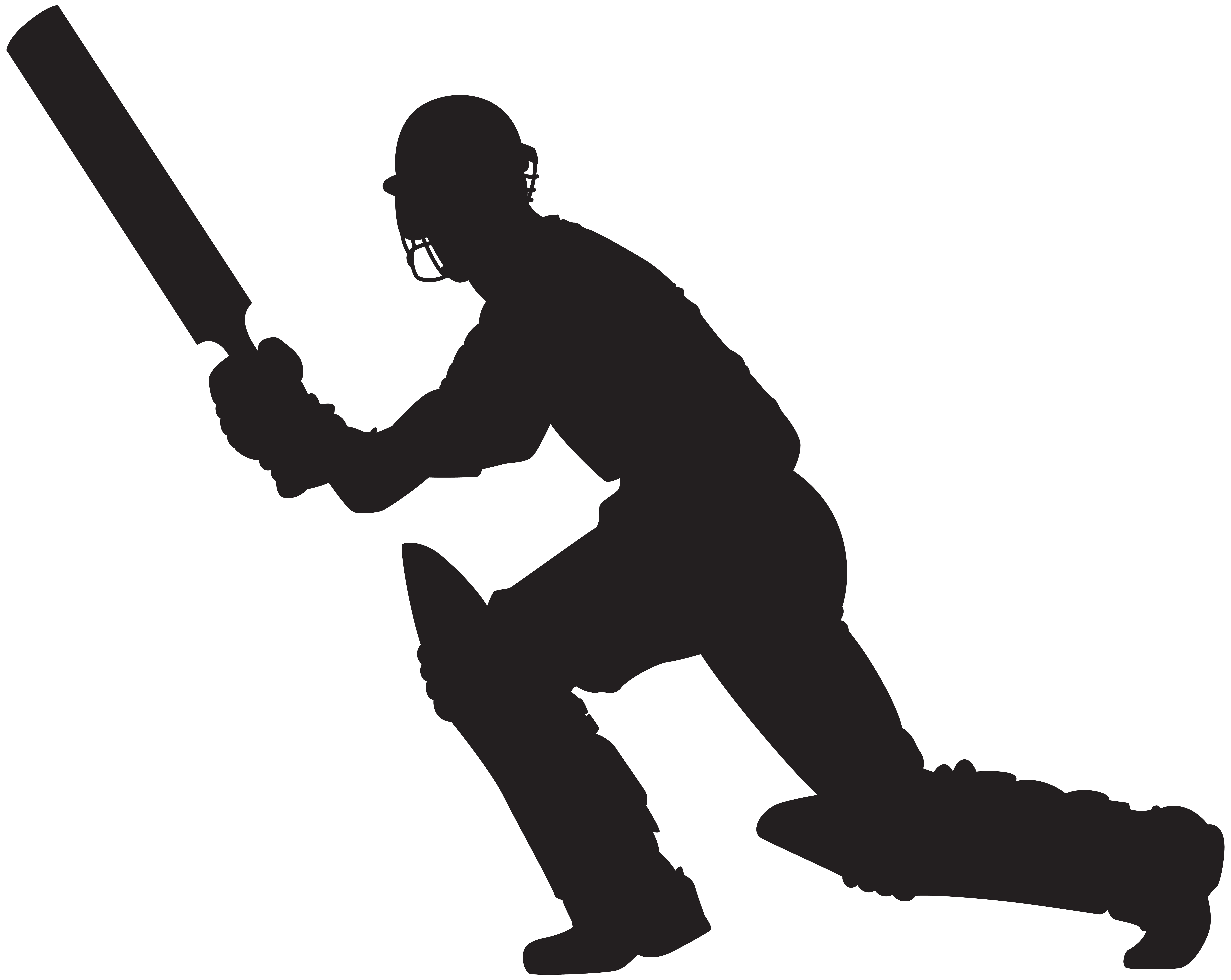 Cricket PNG Isolated Photo