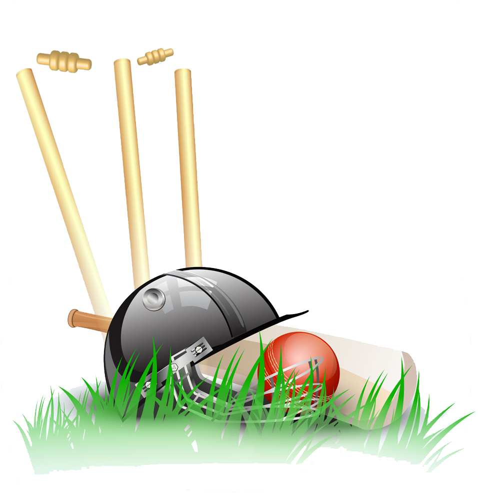 Cricket PNG Isolated Photos