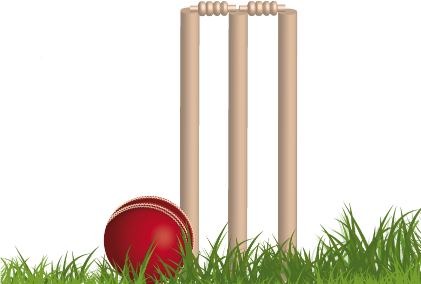 Cricket Wicket PNG