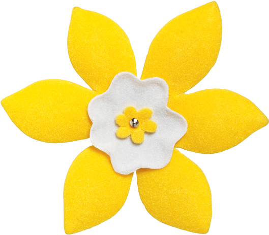 Daffodil PNG isolé image