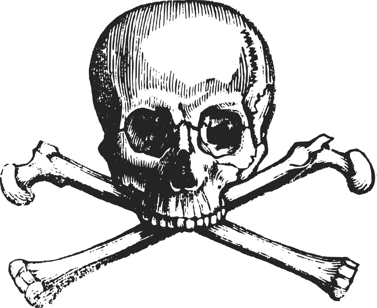 Death Vector PNG Isolated Image