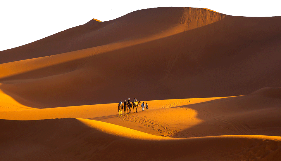 الرمل الصحراوي