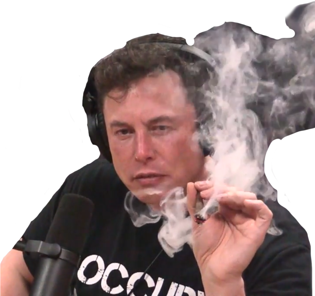 Elon misk meme PNG Pic