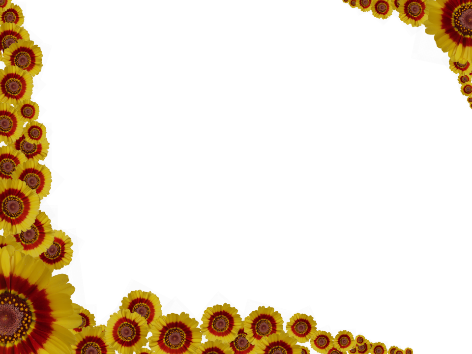 Imagem isolada de PNG de borda de flor