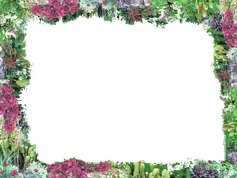 Frontera de flores PNG Transparent Image