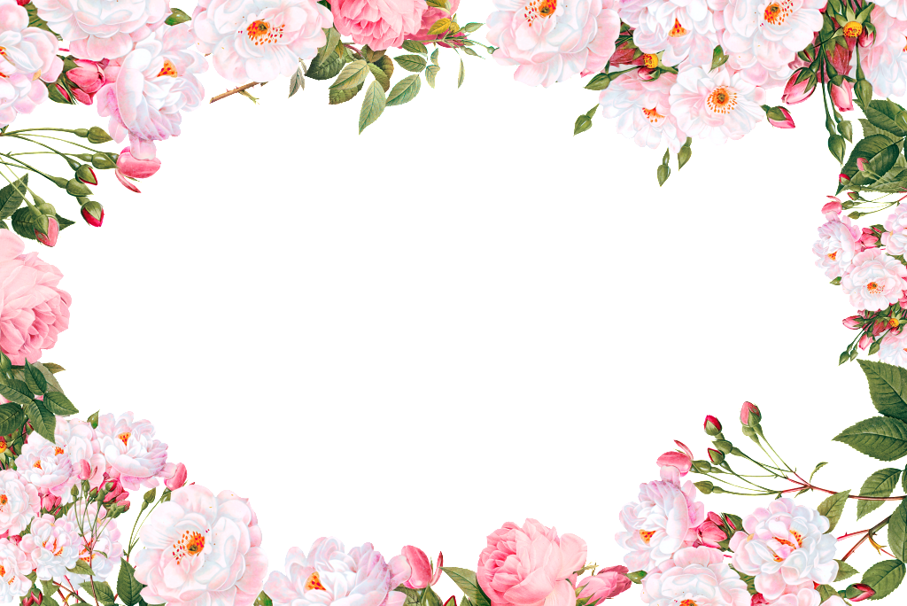 Bordure florale PNG Transparent