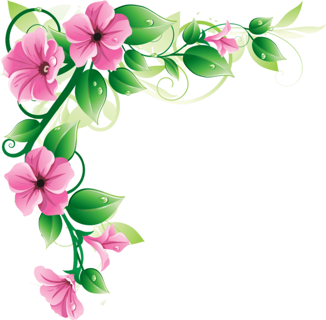 Vector borda de flor PNG