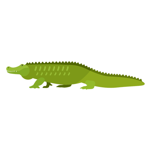 Green Alligator PNG HD Isolated