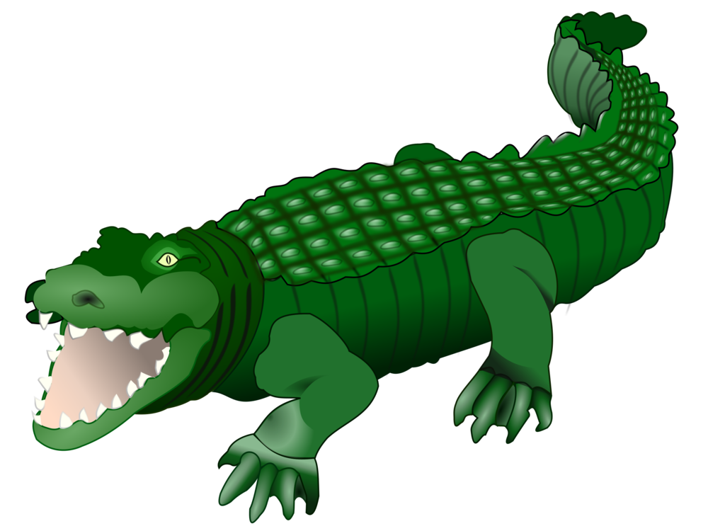 Foto verde alligatore PNG foto