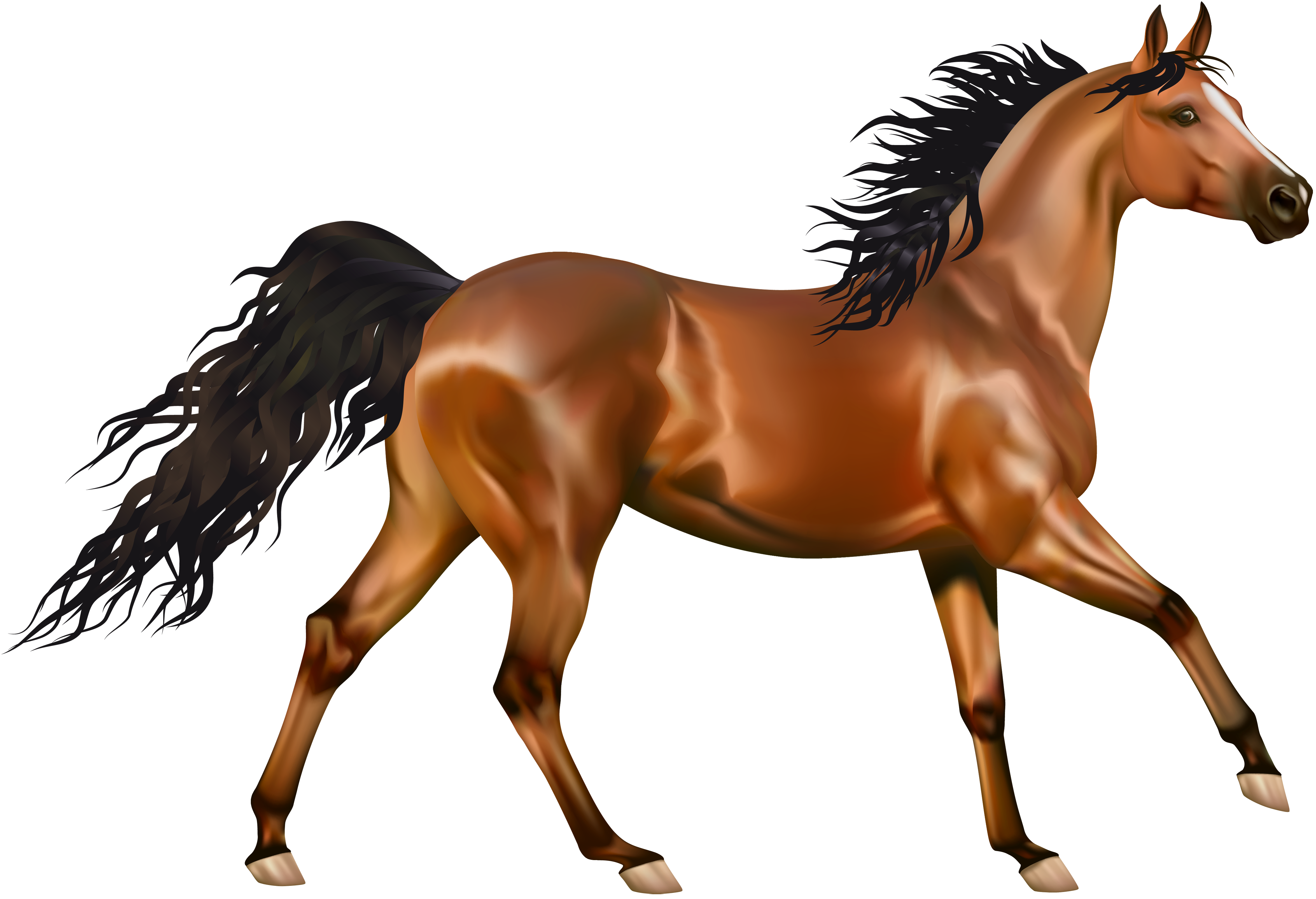 Caballo PNG Isolated Photos