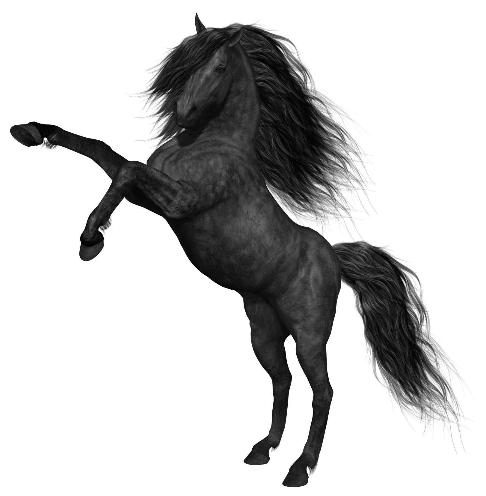 حصان PNG صورة شفافة