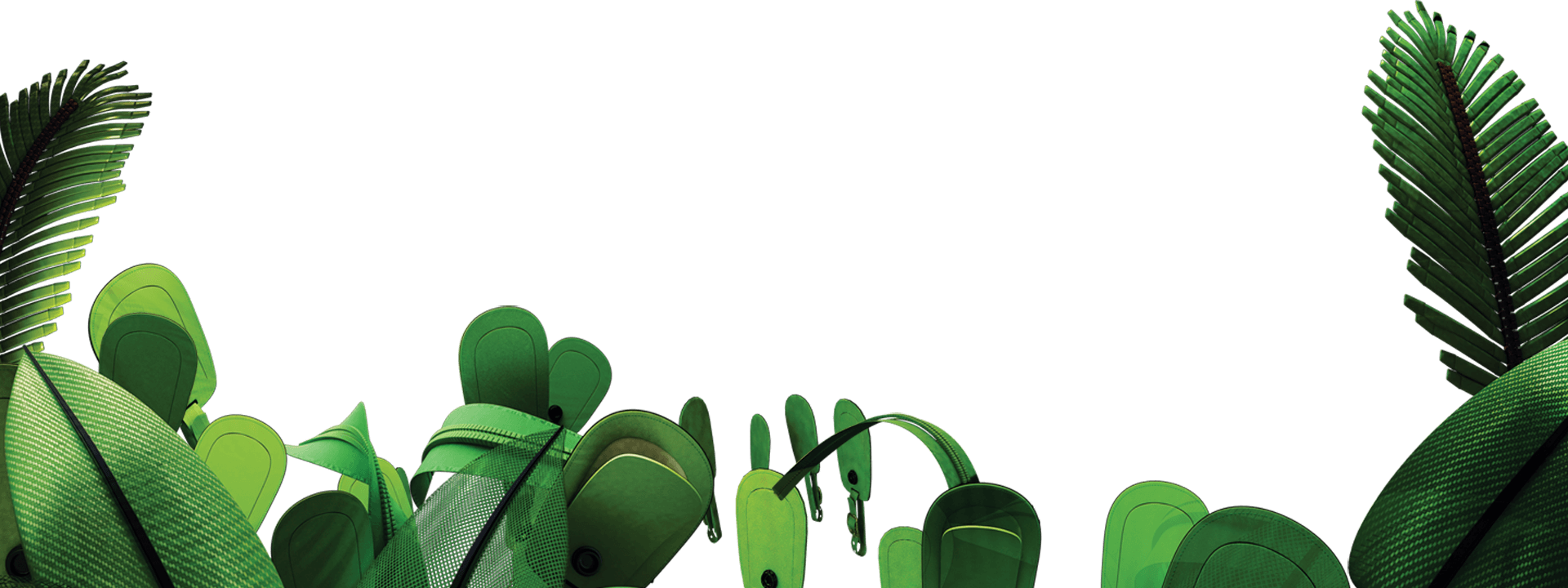 Jungle frontière PNG Isolated HD