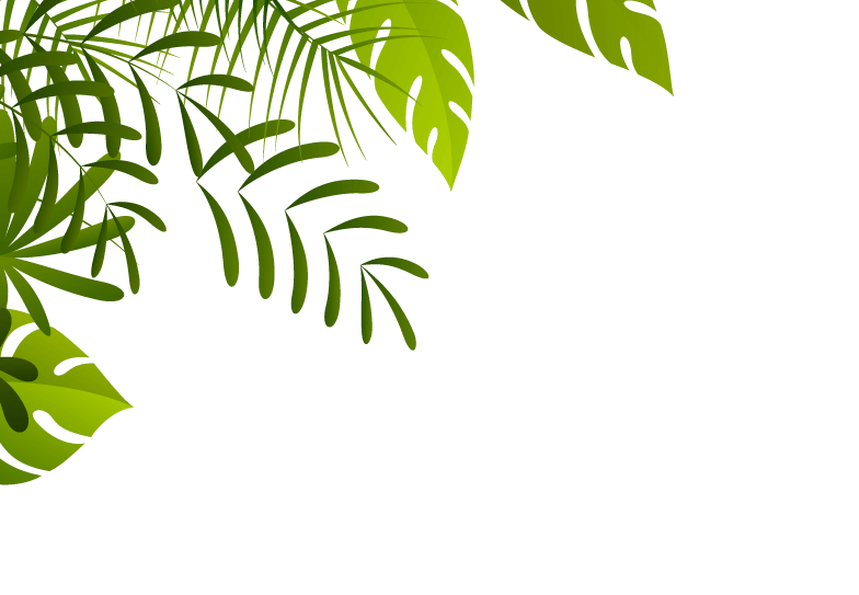 Bordo della giungla PNG Trasparente