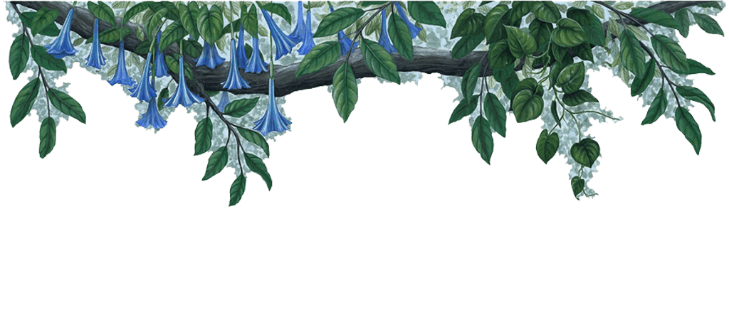 Jungle PNG Isolated Free Download