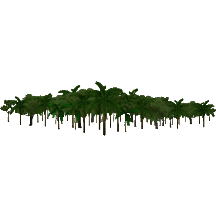Jungle PNG Isolated HD Pictures