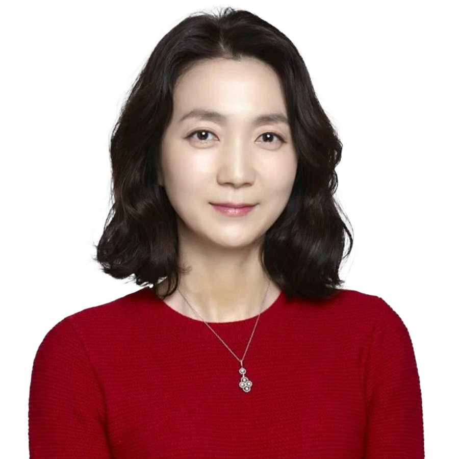Kim Joo-ryeong PNG larawan