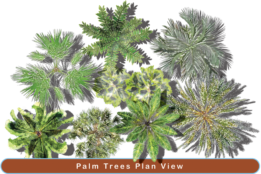 Landscaping PNG Clipart