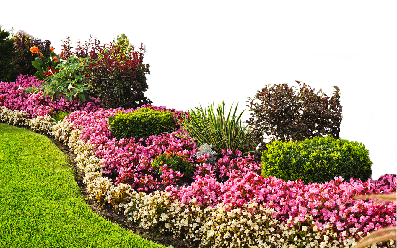 Landscaping PNG Isolated File