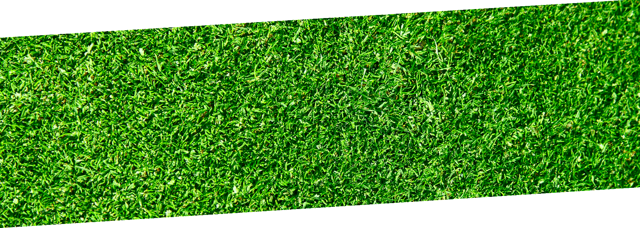 Landscaping PNG Picture