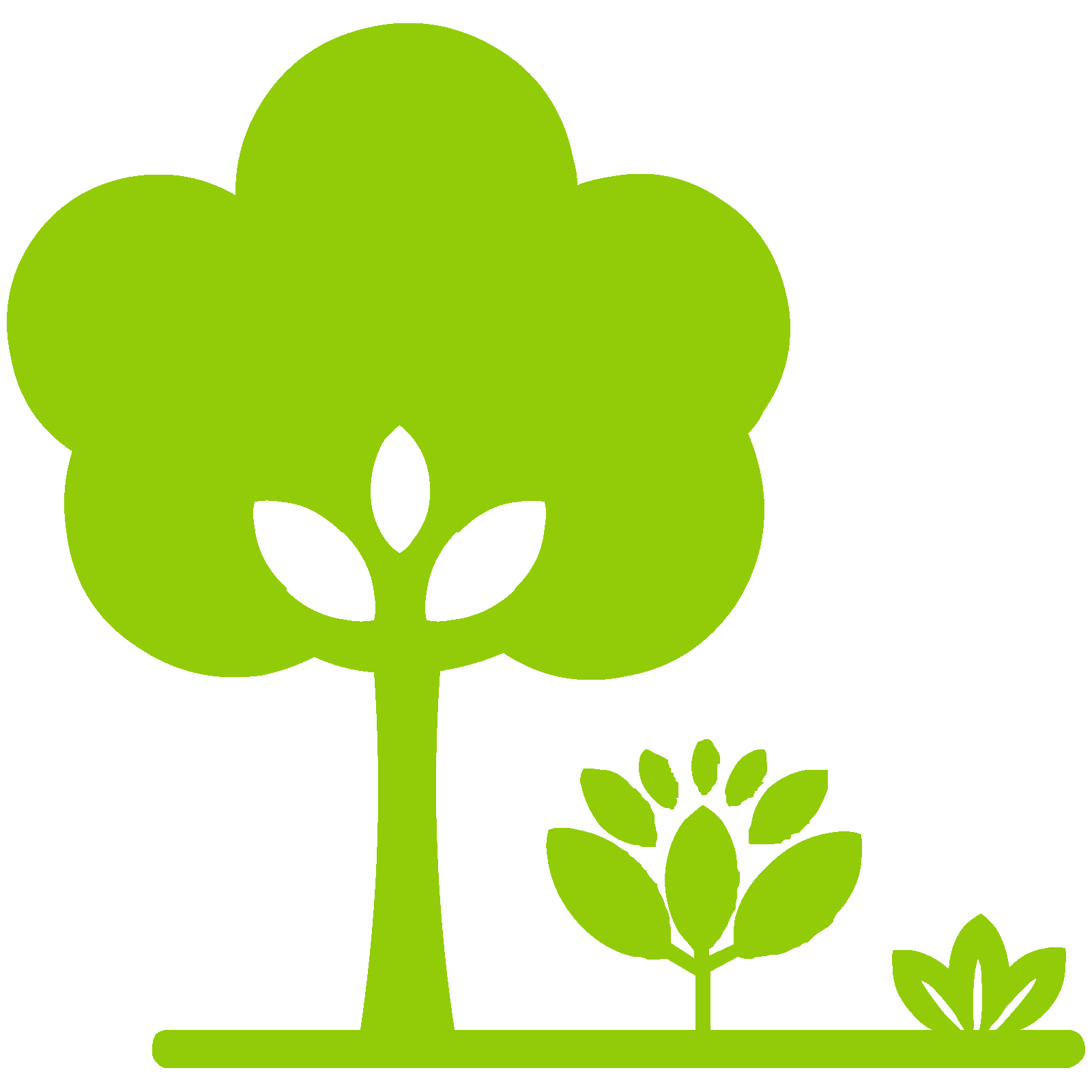 Landscaping Tree PNG