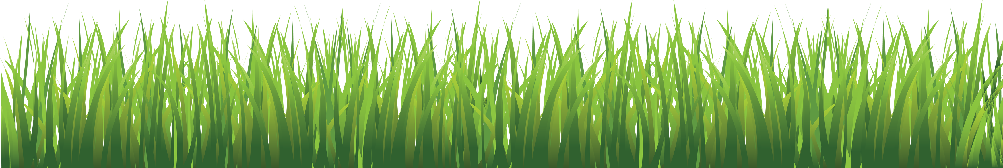 العشب العشب PNG معزول الملف
