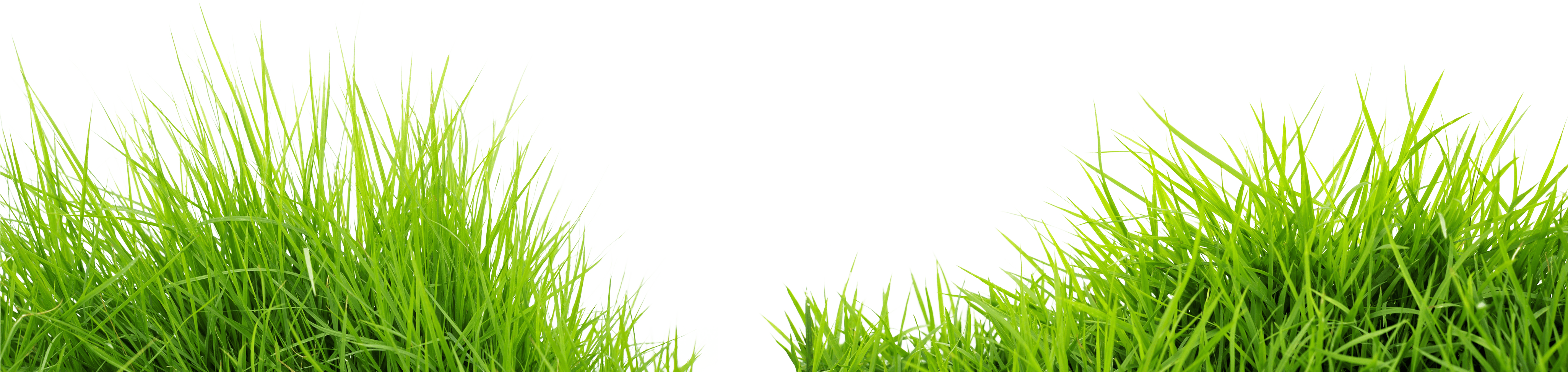 العشب العشب PNG الموافقة المسبقة عن علم