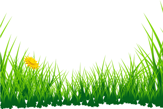 Lawn PNG Clipart