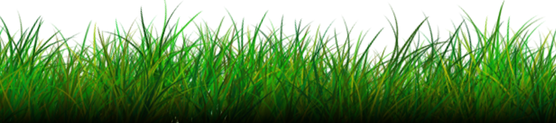 Lawn PNG Isolated Clipart